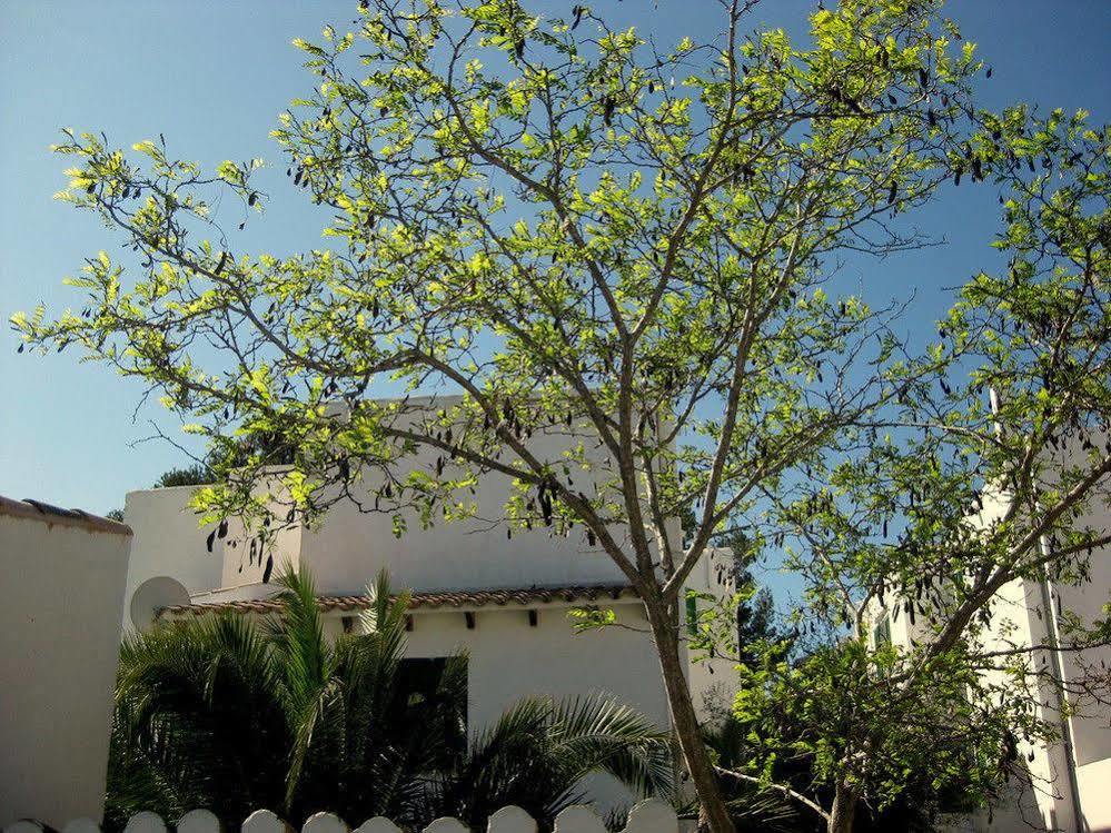 Casa Ceiba Maria Hotel Cala D´Or Exterior foto